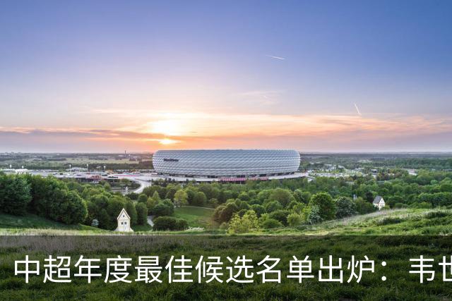 中超年度最佳候选名单出炉：韦世豪因处罚缺席